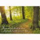 LEANIN TREE GREETING CARD PATH OF LIGHT